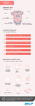 JELP_infografika_1_budowa_skory.jpg
