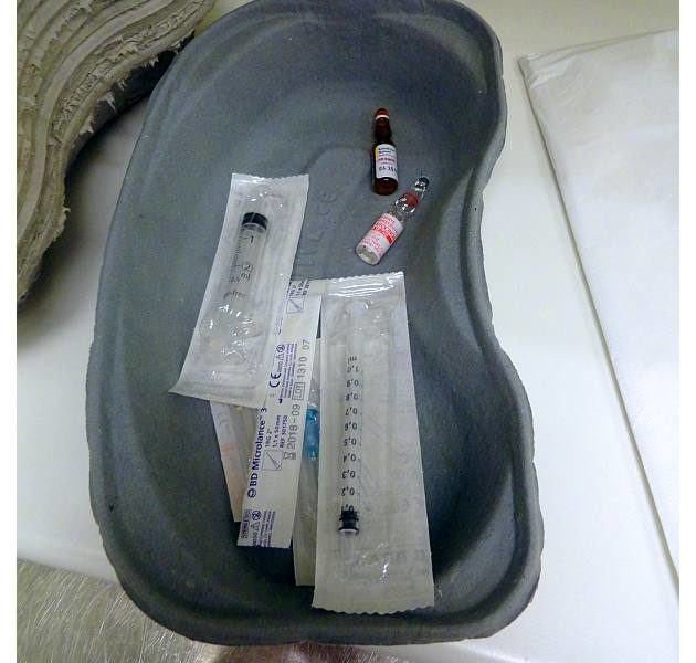 Jakie szczepienia na Malarię? Czy wiesz że Malaria jest główną, zakaźną przyczyną śmierci osób podróżujących do tropiku?