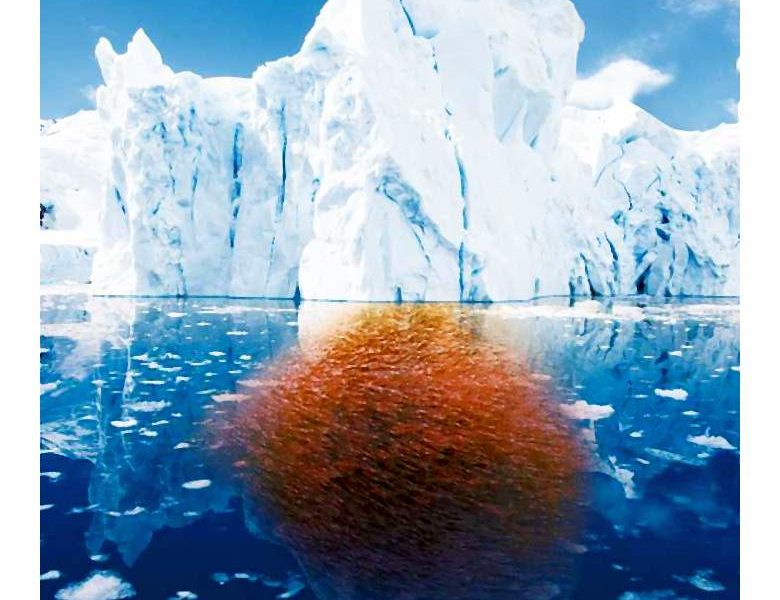 Kwasy omega-3 ? ich wartości i znaczenie dla zdrowia