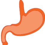 Jak zaradzić bólom brzucha